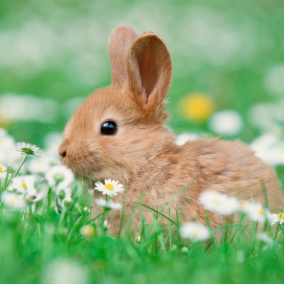 Meet your Poshers, Molly & David - Picture 1 of 4